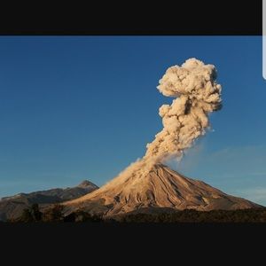 Meet your Posher, Maritza